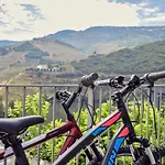 Quinta Do Tedo Bed & Breakfast Folgosa (Viseu)