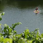 Quinta Do Tedo Folgosa (Viseu)