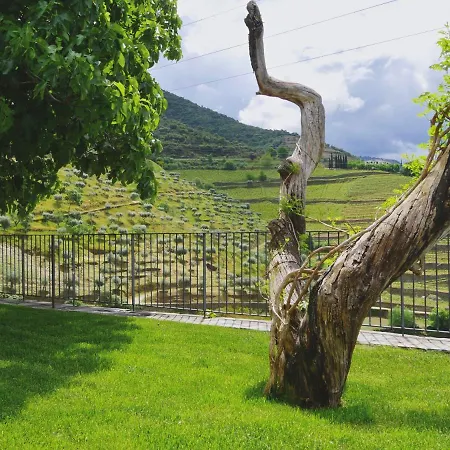 Quinta Do Tedo Panzió Folgosa (Armamar)