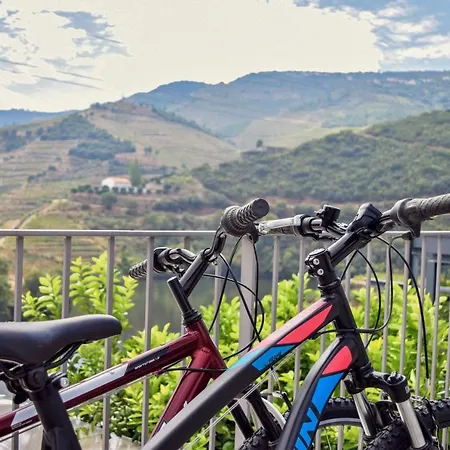 Quinta Do Tedo Bed & Breakfast Folgosa (Viseu)