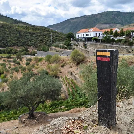 Quinta Do Tedo Bed & Breakfast Folgosa (Viseu)