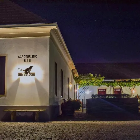 Quinta Do Tedo Folgosa (Viseu)