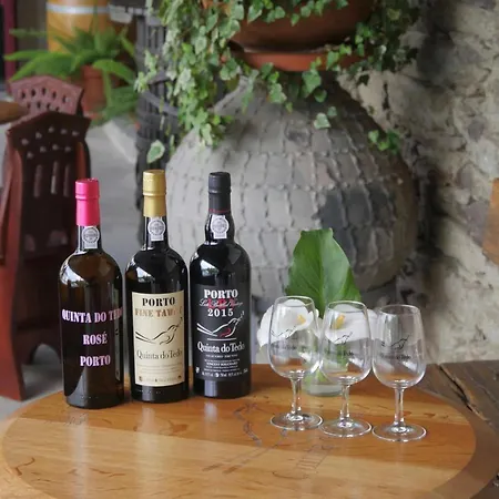 Panzió Quinta Do Tedo