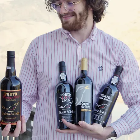 Quinta Do Tedo Folgosa (Armamar)