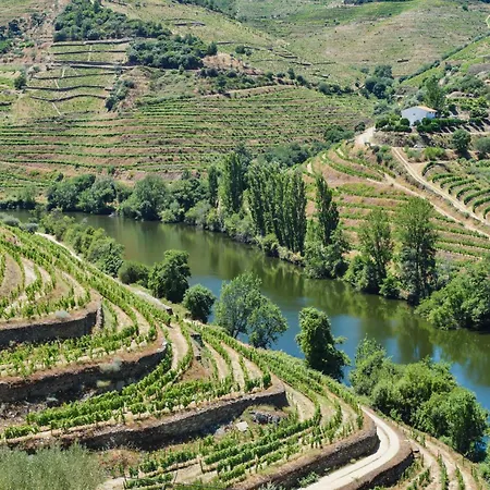 Panzió Quinta Do Tedo