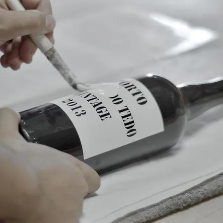 Nocleg ze śniadaniem Quinta Do Tedo Folgosa (Viseu)