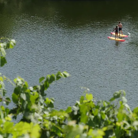 Quinta Do Tedo Folgosa (Armamar)