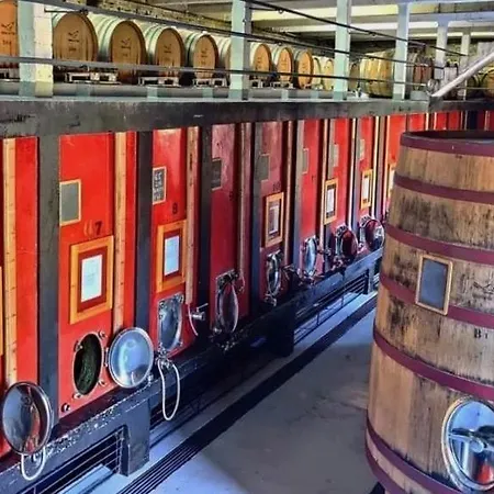 Quinta Do Tedo Frühstückspension 3*