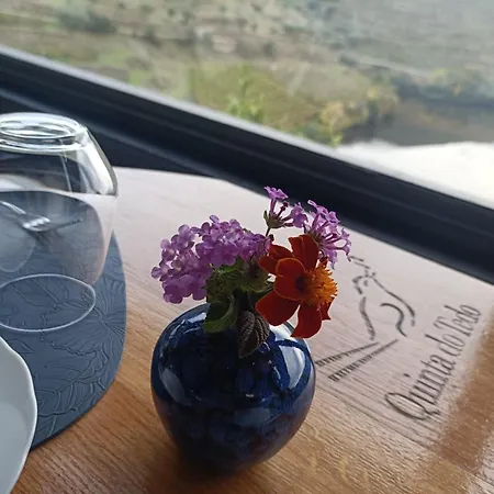Quinta Do Tedo Bed & Breakfast
