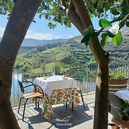 Quinta Do Tedo Bed & Breakfast Folgosa (Viseu)
