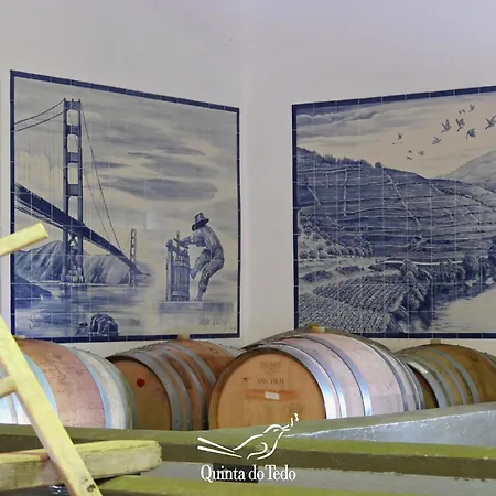 Quinta Do Tedo Folgosa (Viseu)