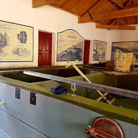 Quinta Do Tedo Folgosa (Viseu)