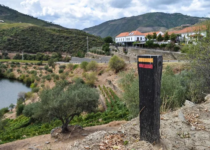 Quinta Do Tedo Bed & Breakfast Folgosa (Viseu)