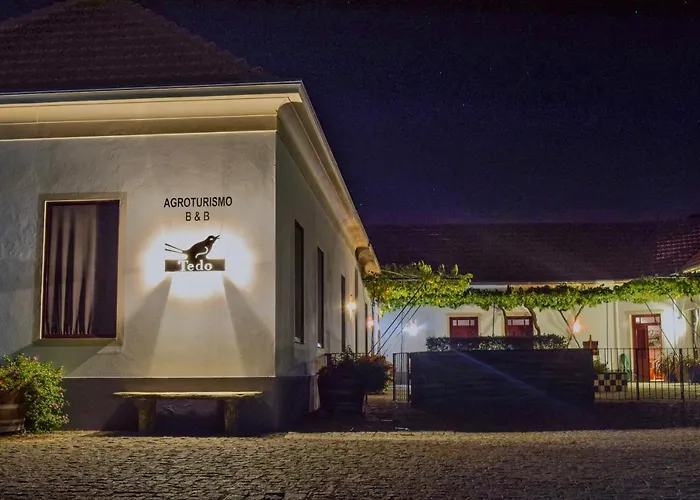 Quinta Do Tedo Folgosa (Viseu)