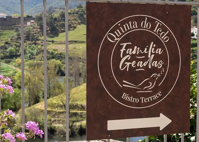 Quinta Do Tedo Folgosa (Viseu)