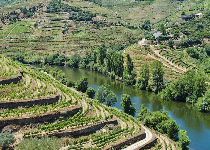 Frühstückspension Quinta Do Tedo