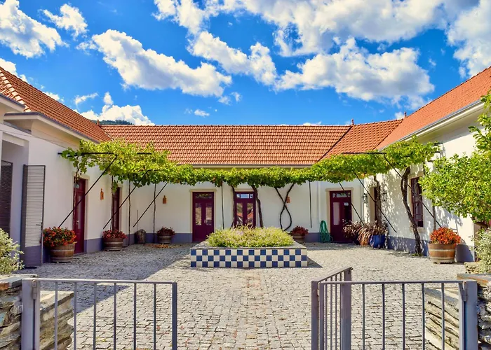 Quinta Do Tedo Folgosa (Viseu)