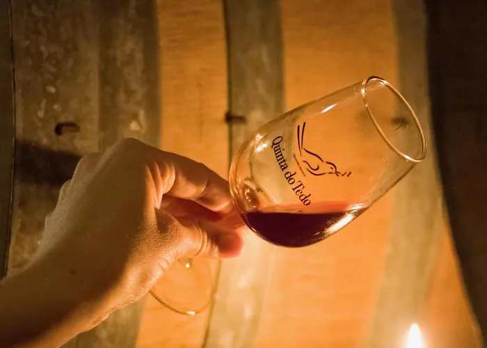 Frühstückspension Quinta Do Tedo Folgosa (Viseu)