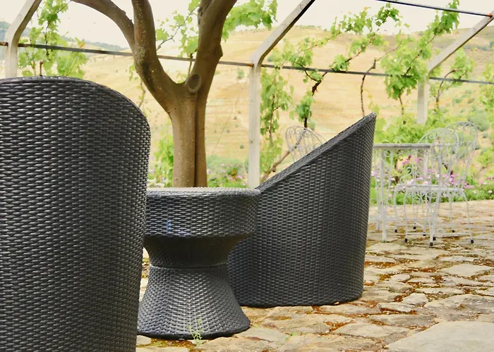 Quinta Do Tedo 4* Folgosa (Viseu)