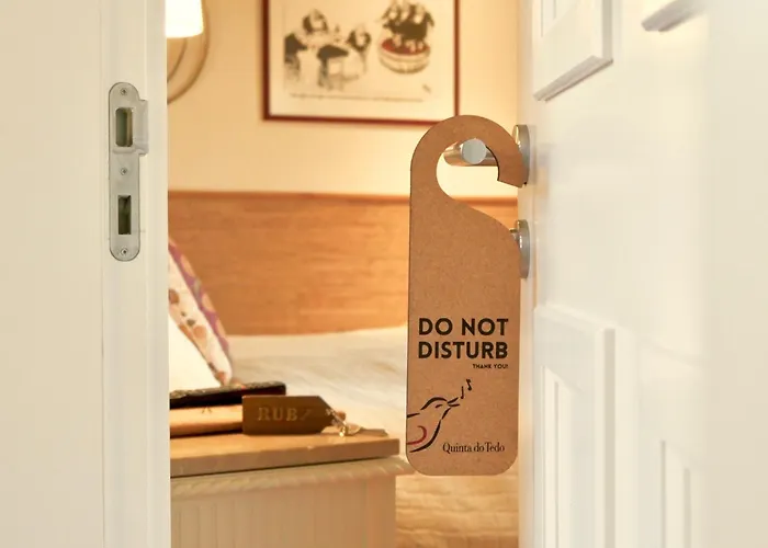 Quinta Do Tedo Bed & Breakfast Folgosa (Viseu)