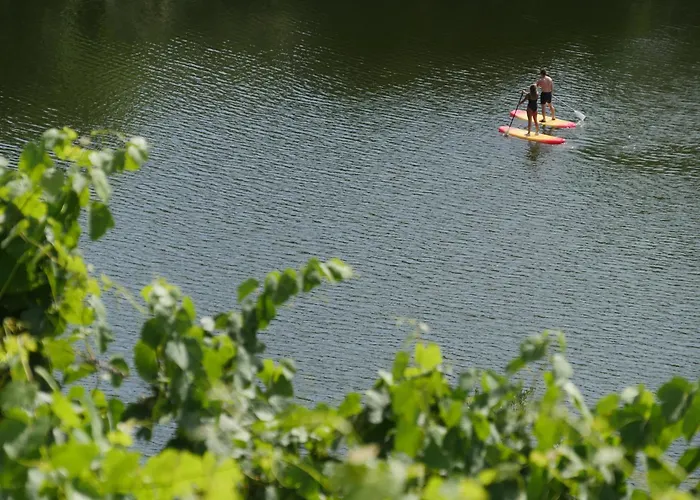 Quinta Do Tedo Folgosa (Viseu)