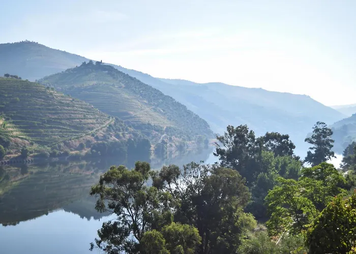 Bed & Breakfast Quinta Do Tedo