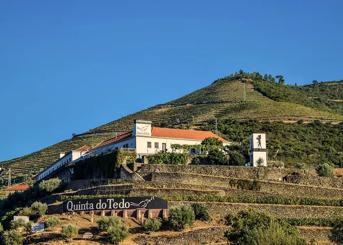 Quinta Do Tedo Bed & Breakfast