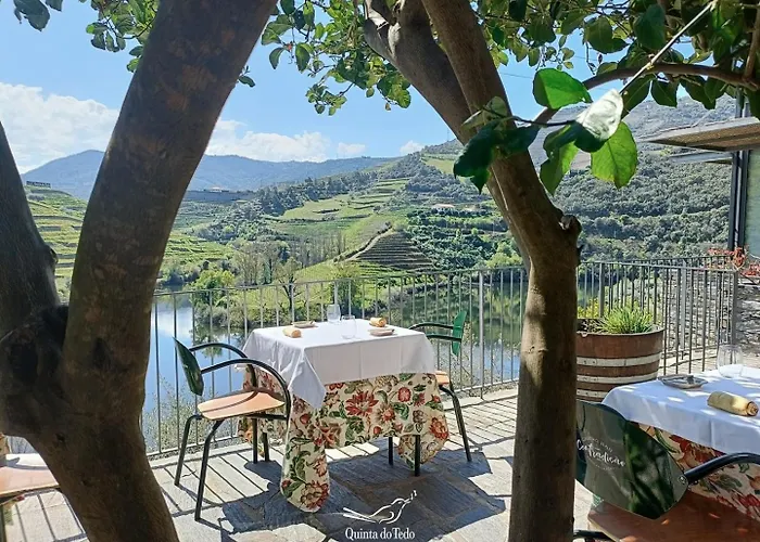 Quinta Do Tedo Bed & Breakfast Folgosa (Viseu)