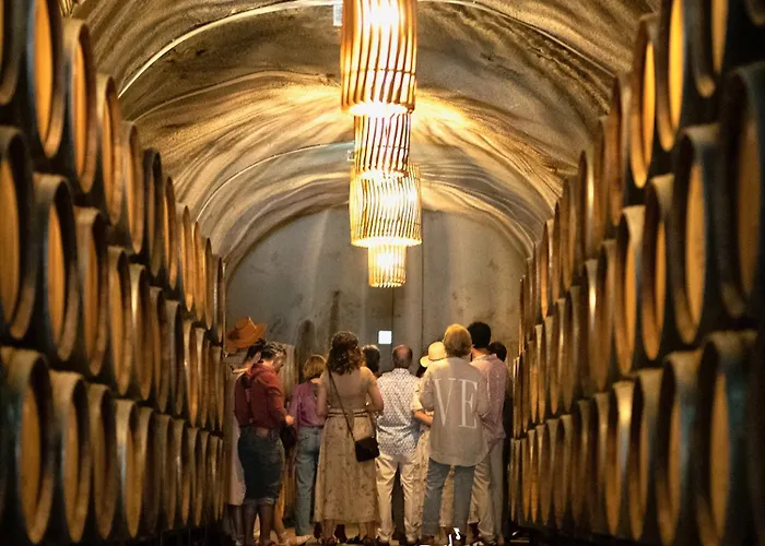 Quinta Do Tedo Frühstückspension