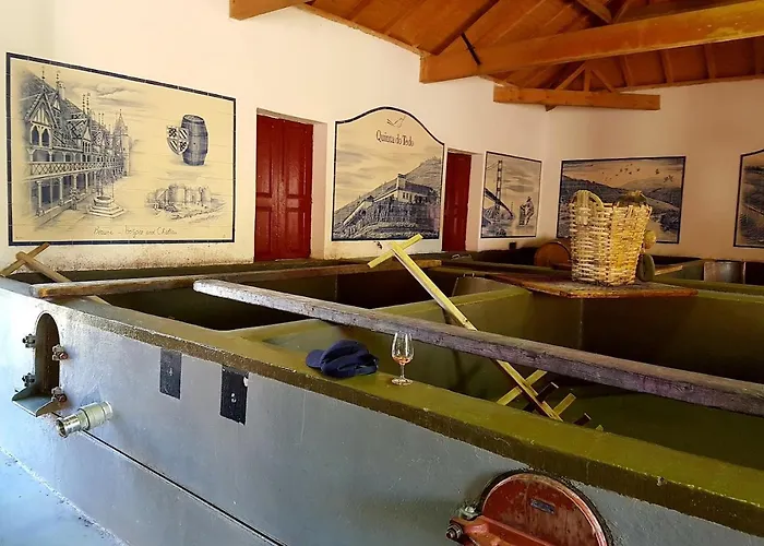 Quinta Do Tedo Folgosa (Viseu)